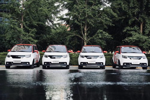 電咖汽車(chē)突圍新賽道 年度實(shí)現(xiàn)規(guī)?；疭UV銷(xiāo)售成為亮點(diǎn)，重磅新品有望明年登場(chǎng)